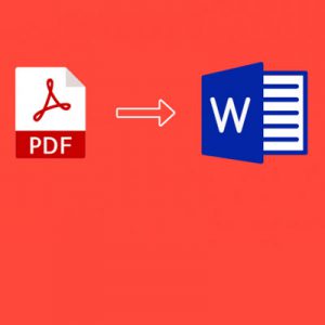 معرفی بهترین روش برای تبدیل فایل pdf به word